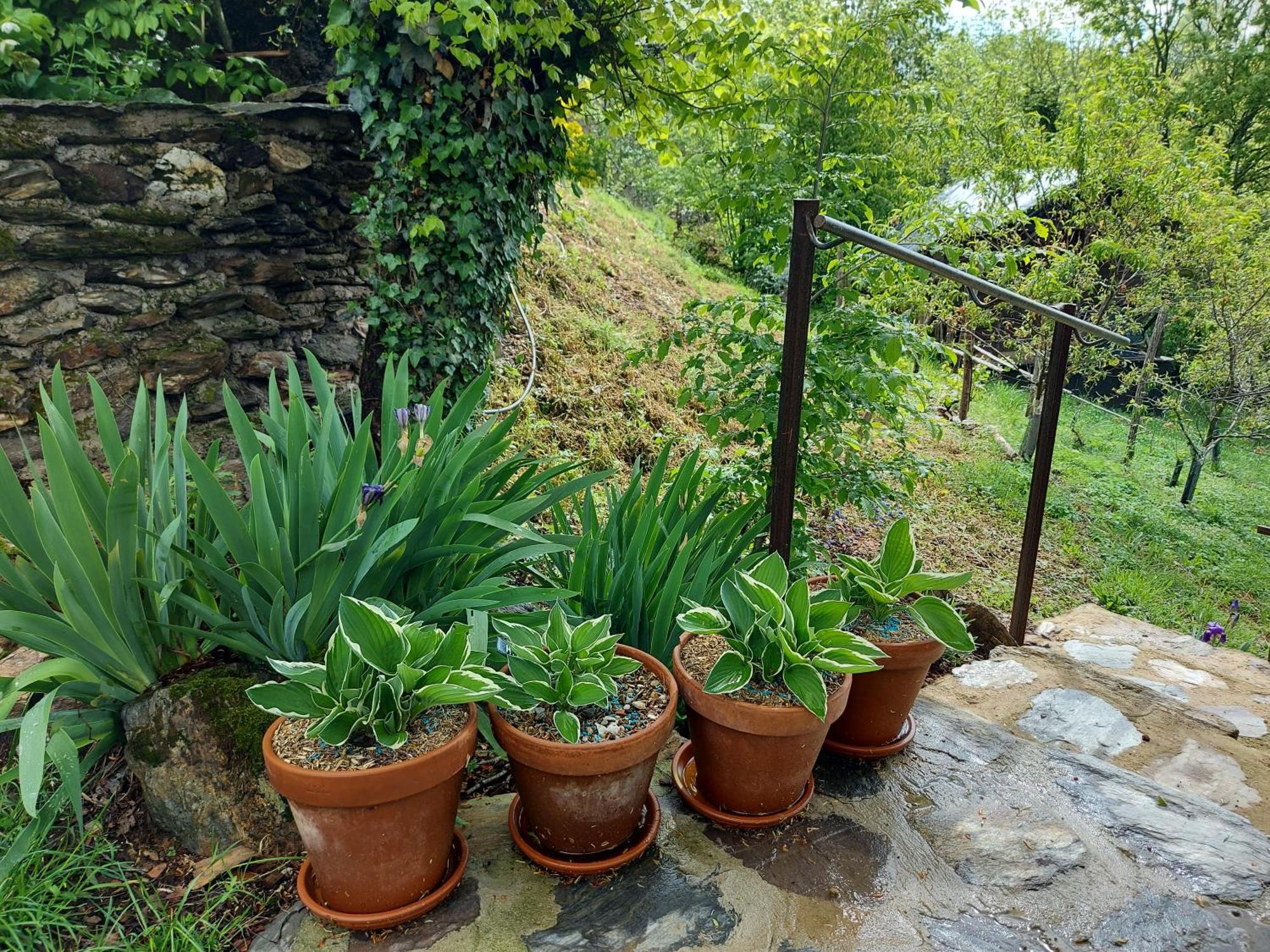 Louradou-Sur-Ciel Bed and Breakfast Jouqueviel Exteriör bild