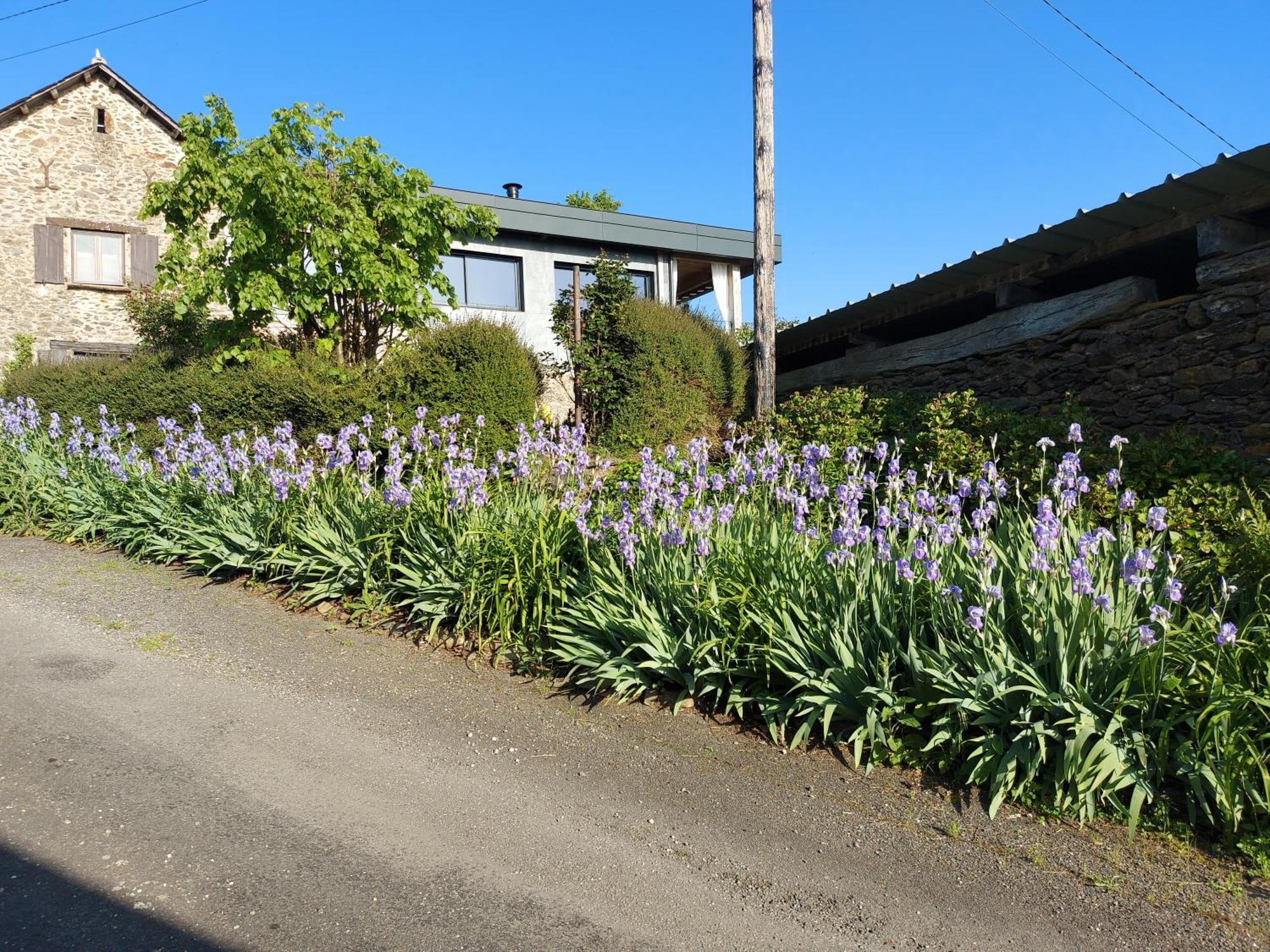 Louradou-Sur-Ciel Bed and Breakfast Jouqueviel Exteriör bild